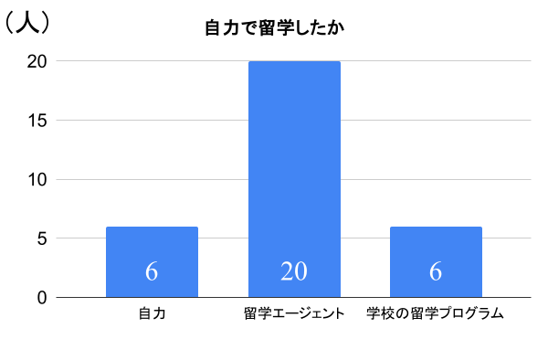 留学アンケートの結果グラフ