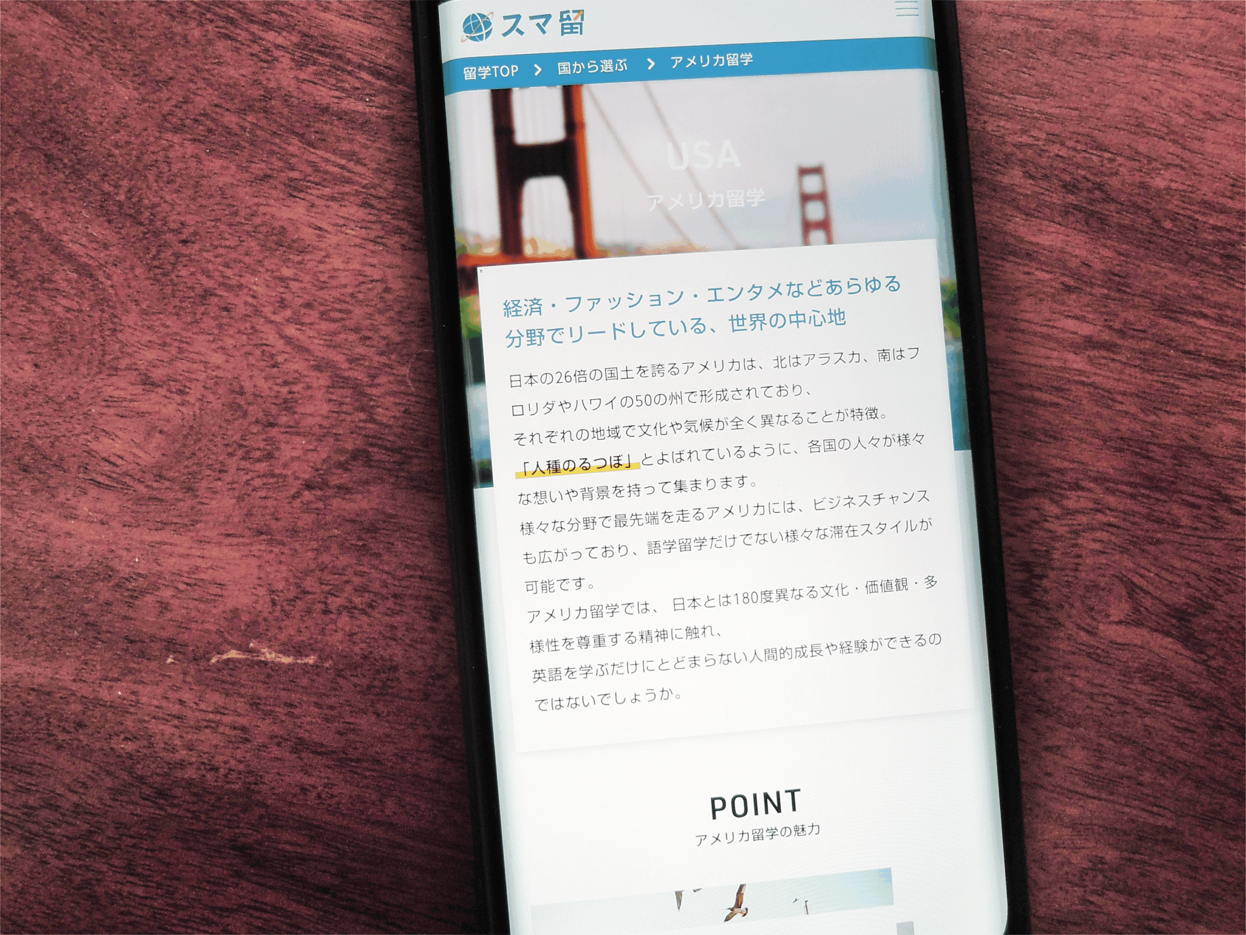 スマ留は提携校が多く主要な語学学校を網羅