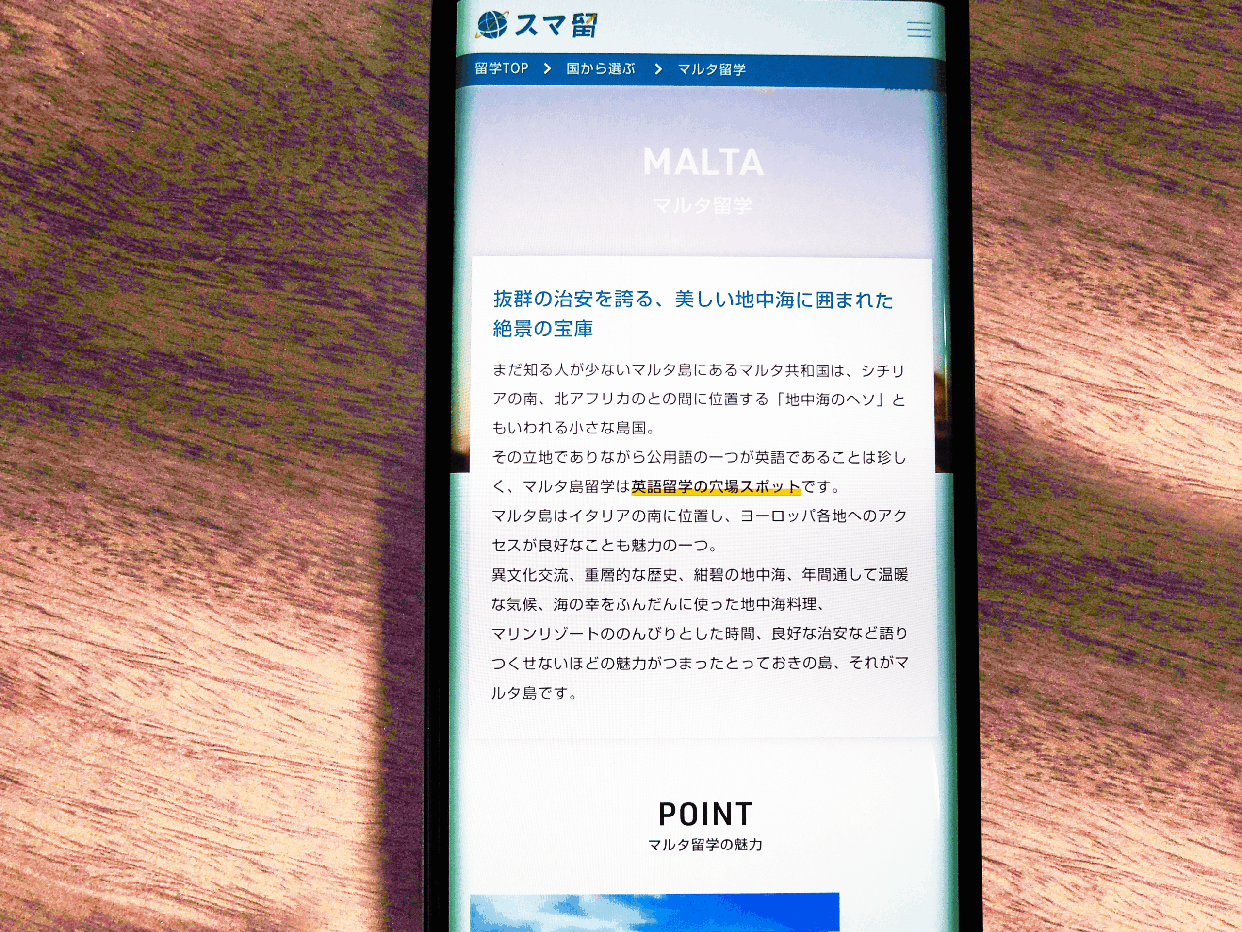 スマ留は費用重視ならコスパNo.1!独自の格安プラン