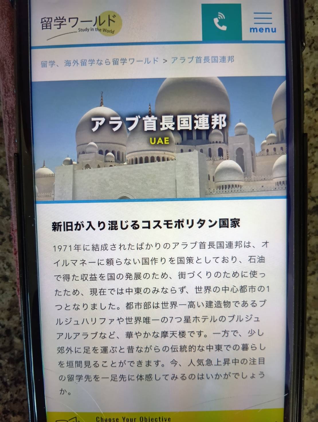 留学ワールドは語学留学だけでなく海外インターンやボランティアなどプランが豊富