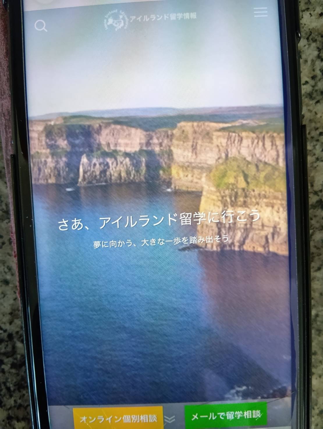 アイルランド留学情報は現地校の直提携している日系の現地エージェント