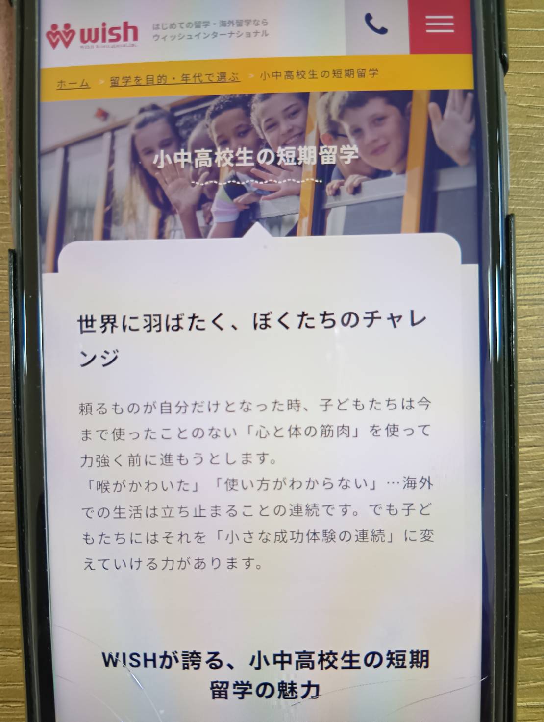 ウィッシュインターナショナルは毎年夏休みのジュニア留学キャンプを開催