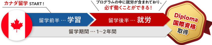 留学前半…学習/留学後半…就労